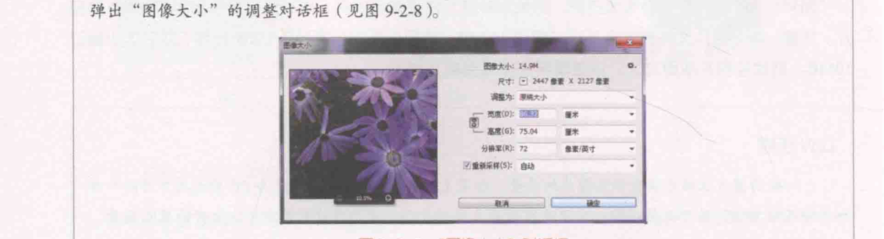 ch_图9-2-8_“图像大小对话框.png